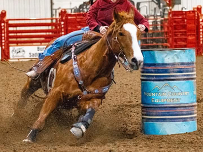 5 year old barrel horse