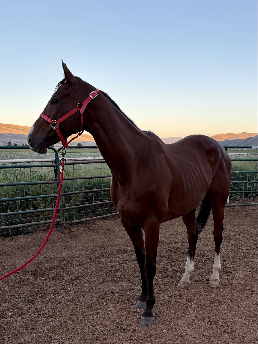 Meet Passion