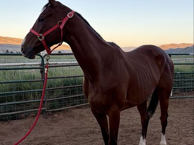 Meet Passion
