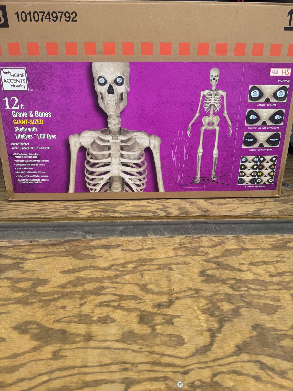 12'  Foot Skeleton