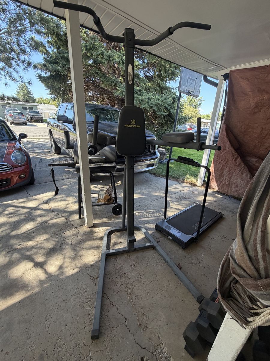 Apex Power Tower Dip Station and Dip Station 