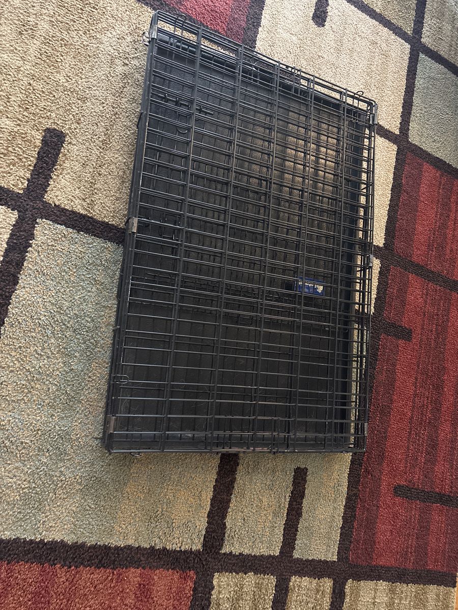 large dog crate