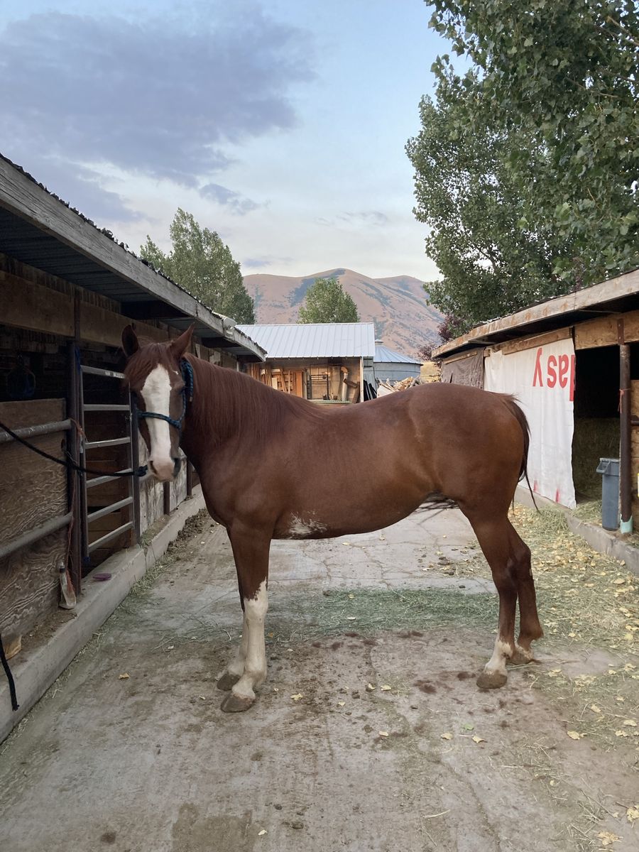 Partial lease available