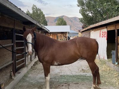 Partial lease available