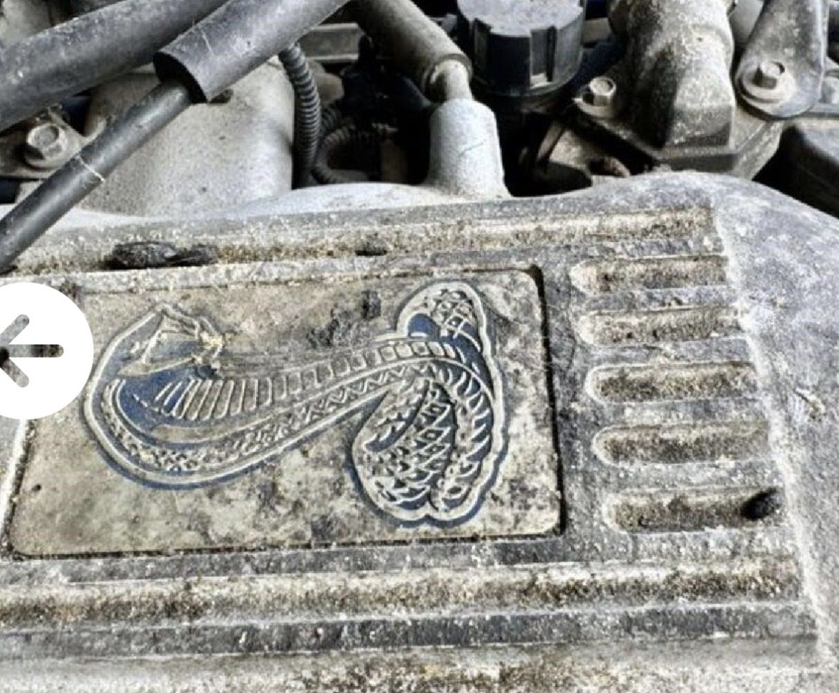 Main image 7