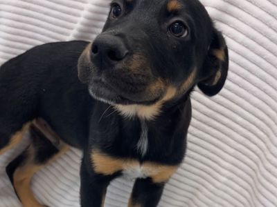 Hello my name is Simon