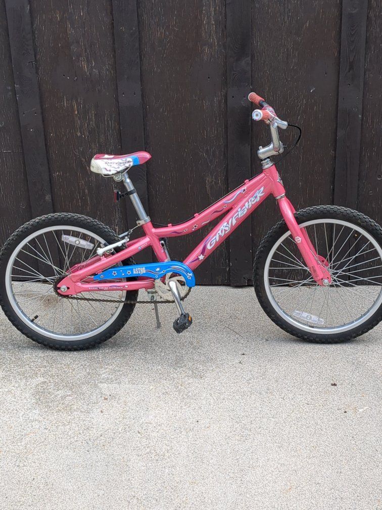 2007 Gary Fisher Astro 20"