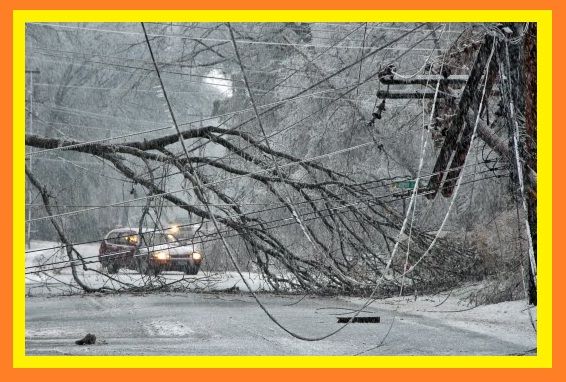 Are you looking for an emergency FUEL/HEAT source?  