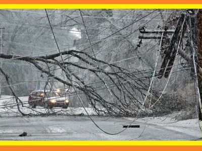Are you looking for an emergency FUEL/HEAT source?