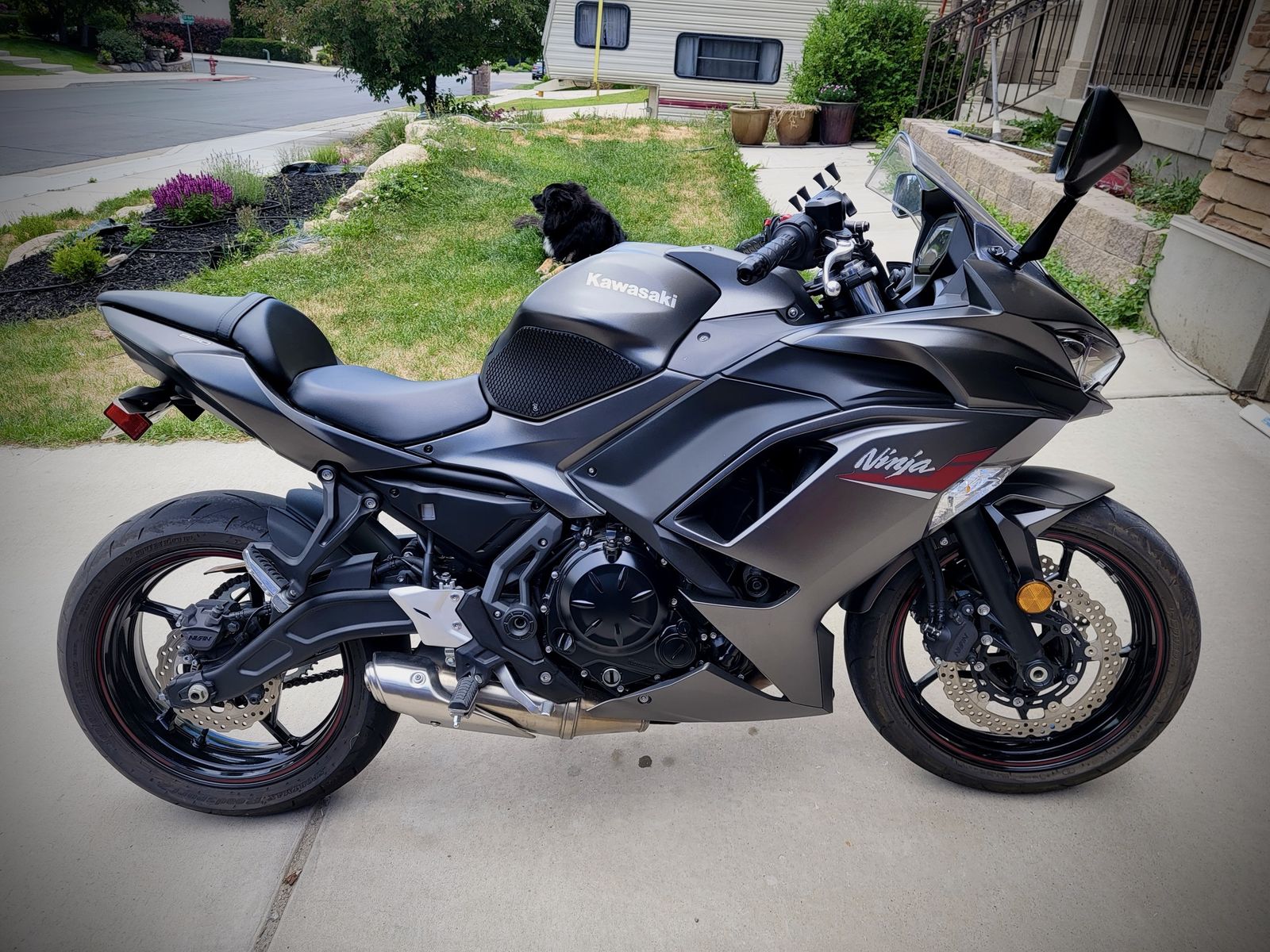Kawasaki Ninja 650 | Low Miles!
