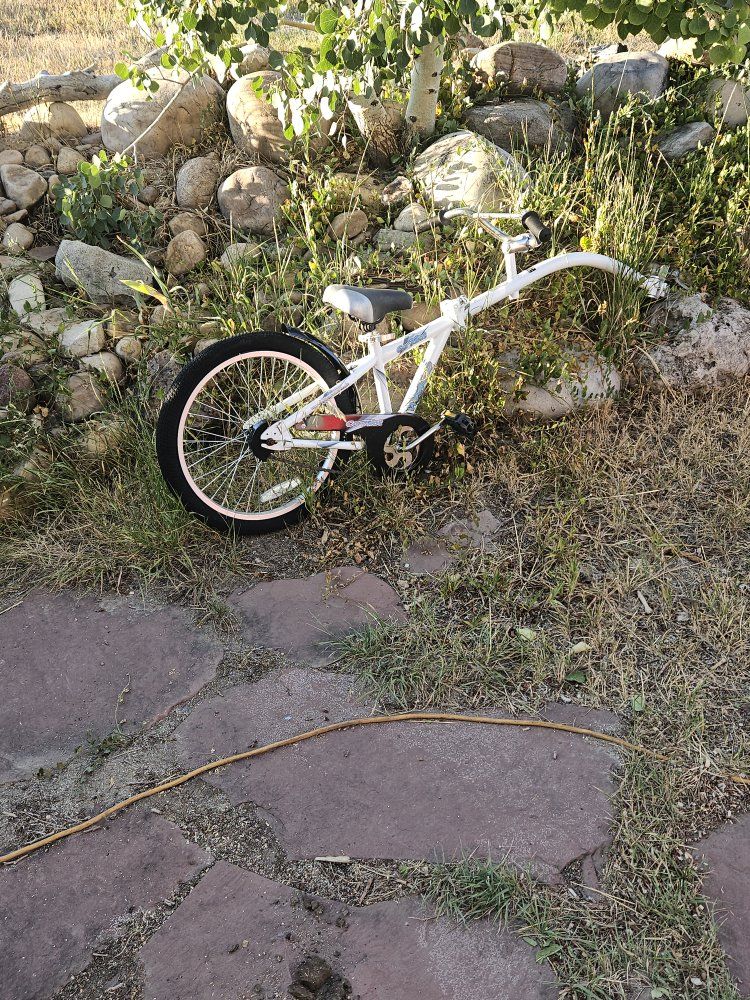 White Single-Wheel Tag-Along Trailer Bike for Kids