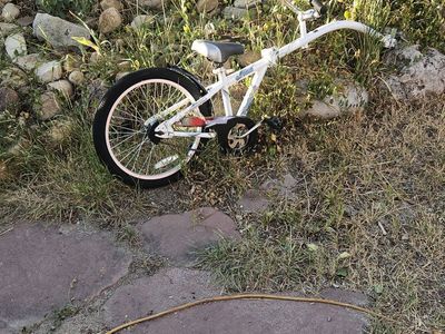 White Single-Wheel Tag-Along Trailer Bike for Kids