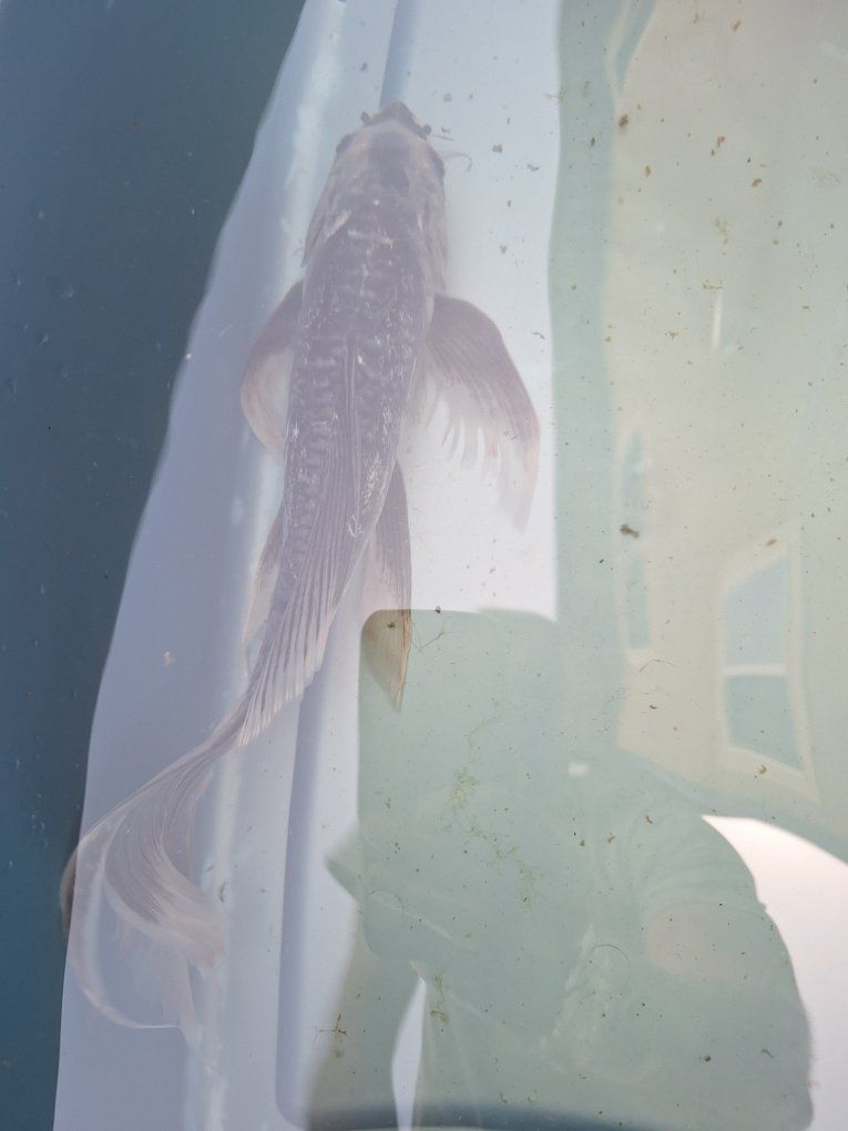 Main image 12