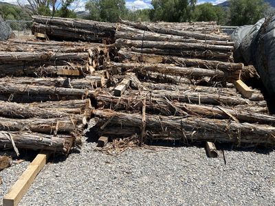 Cedar Posts
