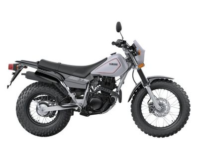 2026 Yamaha TW200 Gallant Gray - Y02210