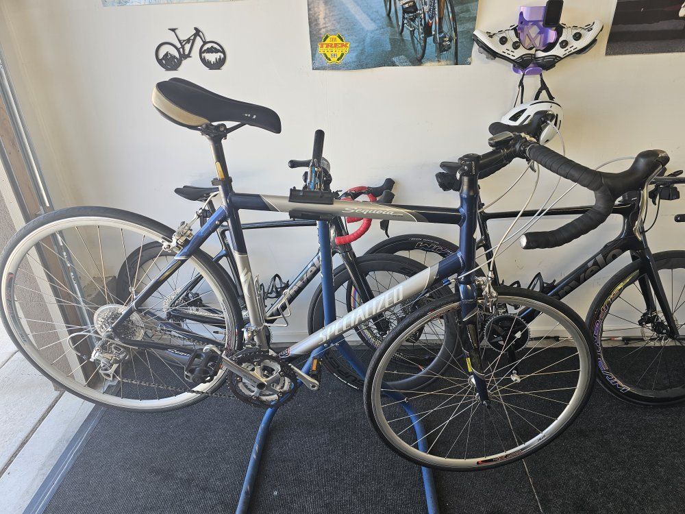 Specialized Sequoia 60cm