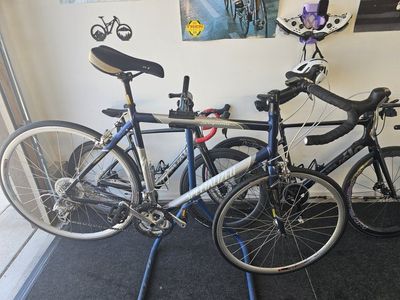 Specialized Sequoia 60cm