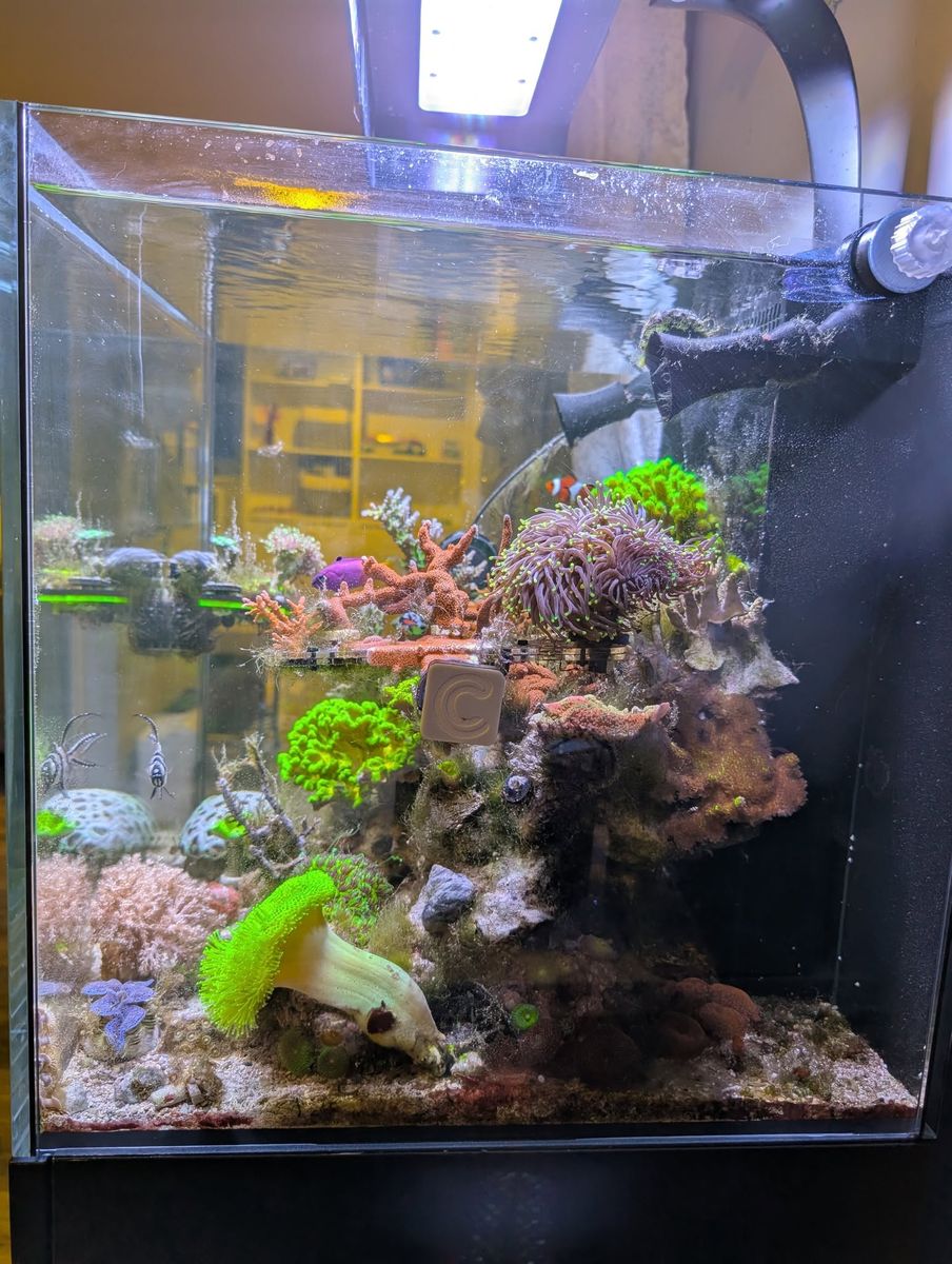 Main image 2