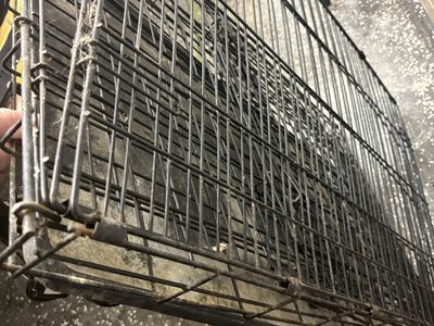 Collapsible Metal Wire Dog Crate with Removable Plastic Tray