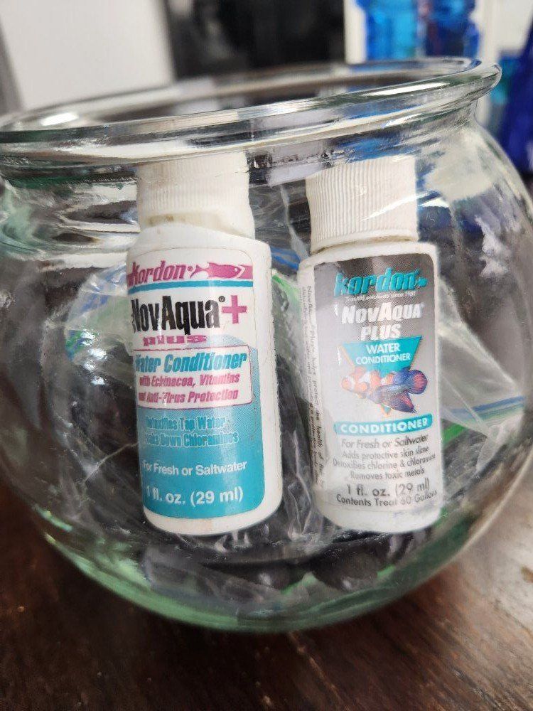 fish bowl rocks and water conditioner