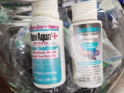 fish bowl rocks and water conditioner