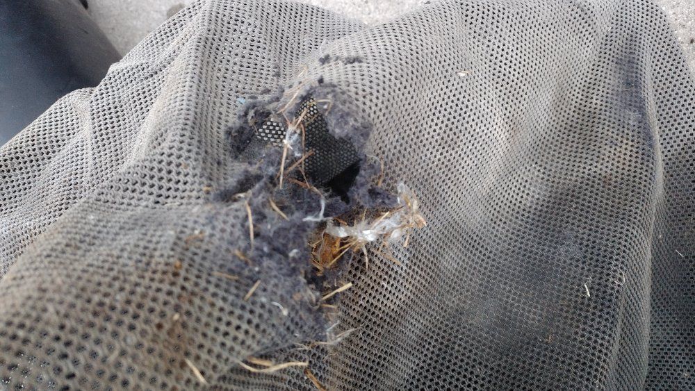 MTD two bag grass catcher model is in the  picture