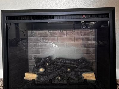 Electric Fireplace Insert (PuraFlame)