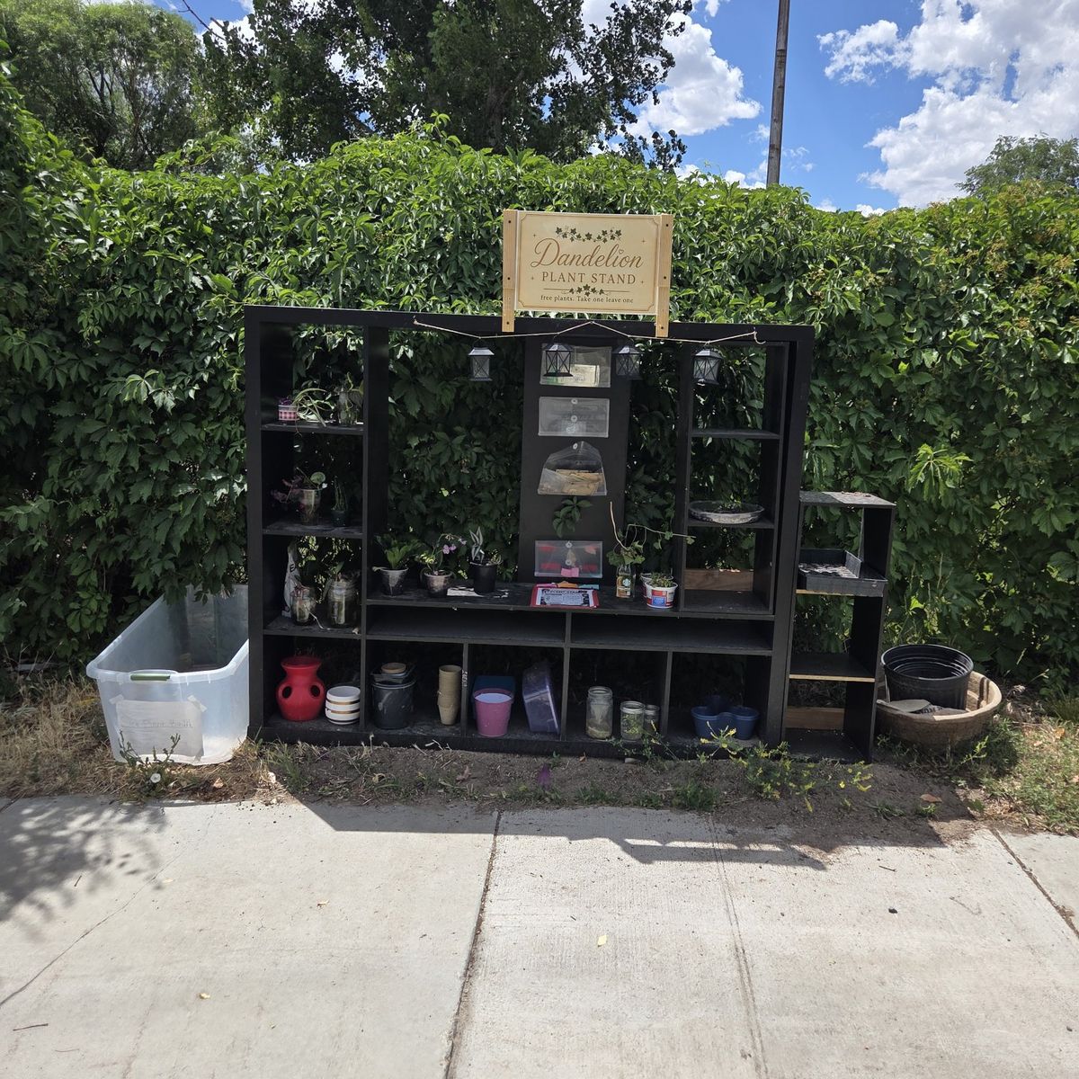 free plant stand. take one leave one