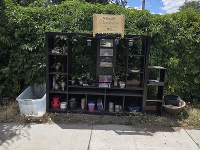 free plant stand. take one leave one