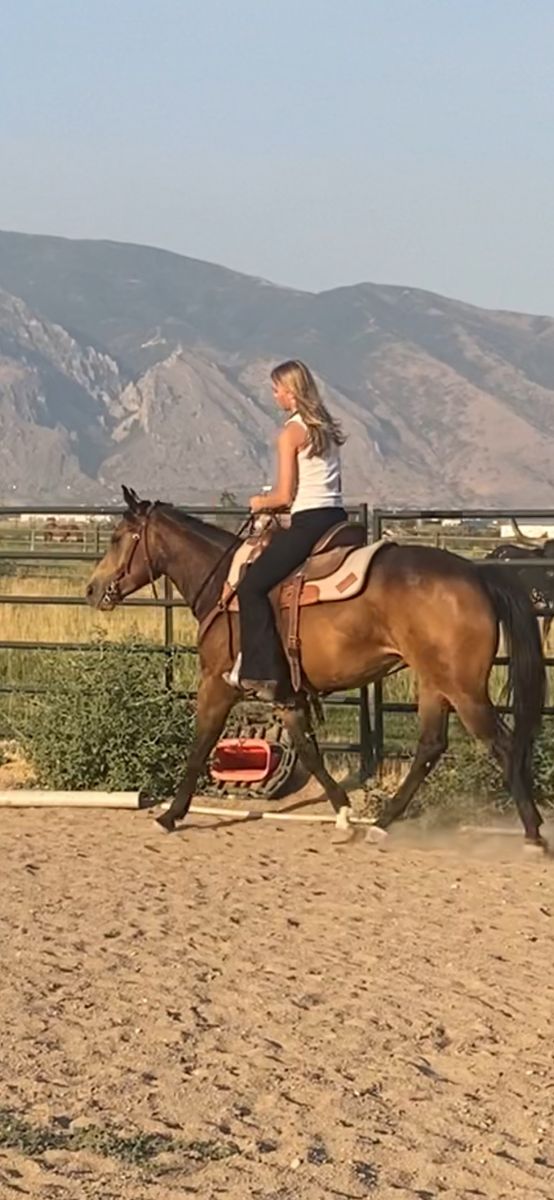 Horse trainer