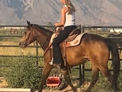 Horse trainer