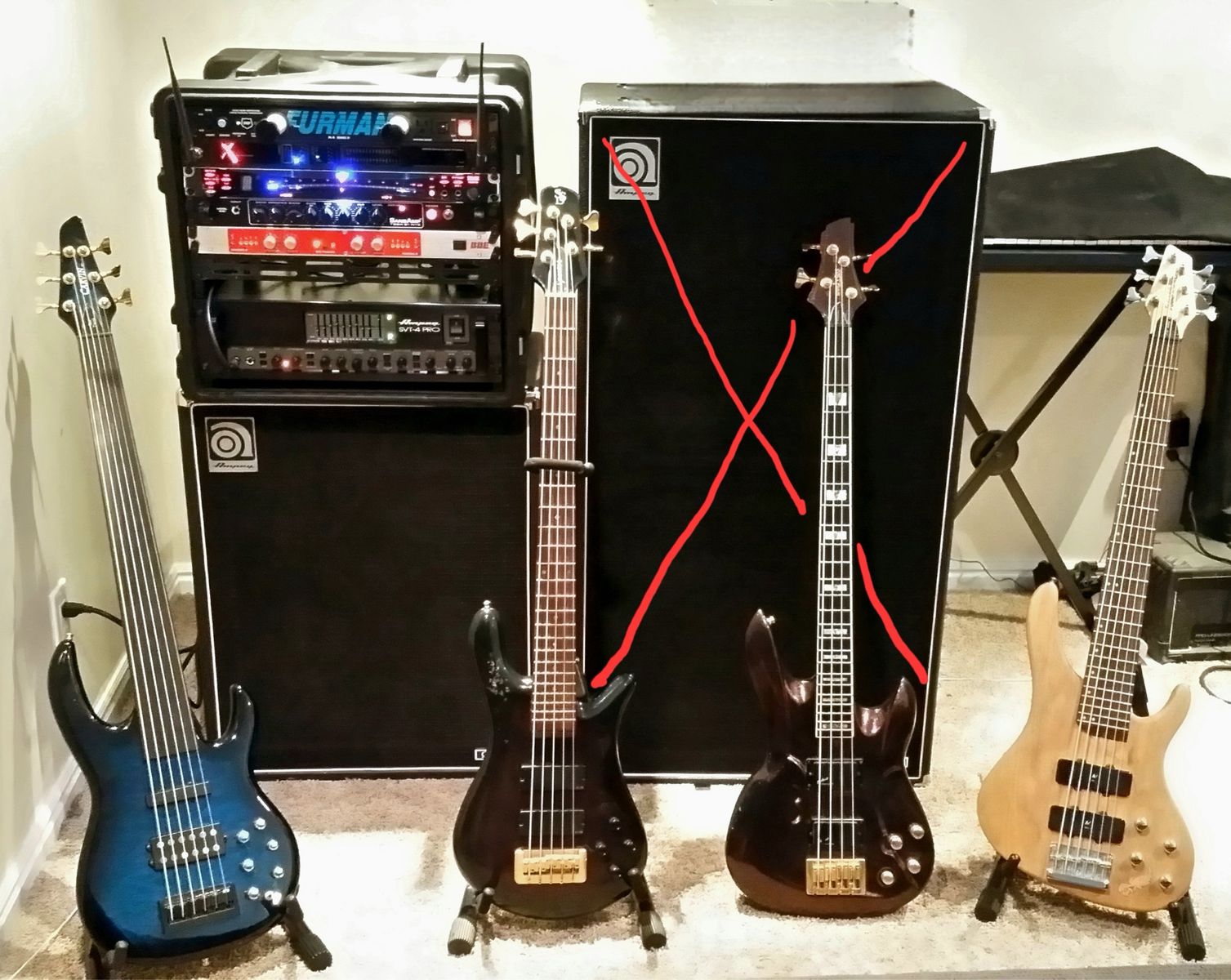 Bassist Looking