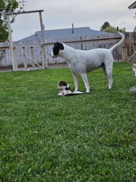 Main image 6