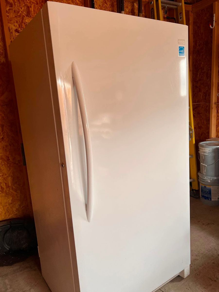 Frost Free Freezer
