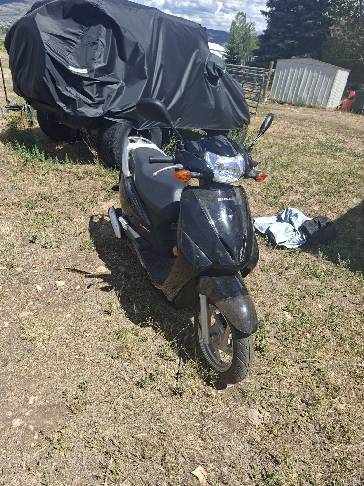 Honda  Elite / Scooter - Black - Used Good