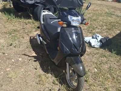 Honda Elite / Scooter - Black - Used Good