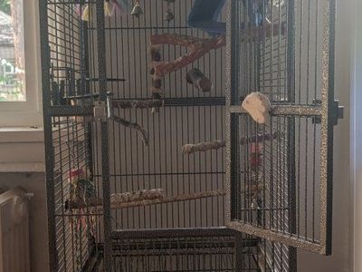 Large Black Metal Bird Cage for Parrots and Cockatiels - 60" Tall, 18" Deep