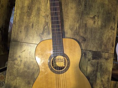 Ventura guitar