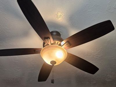 Hunter 52 inch bronze ceiling fan with light