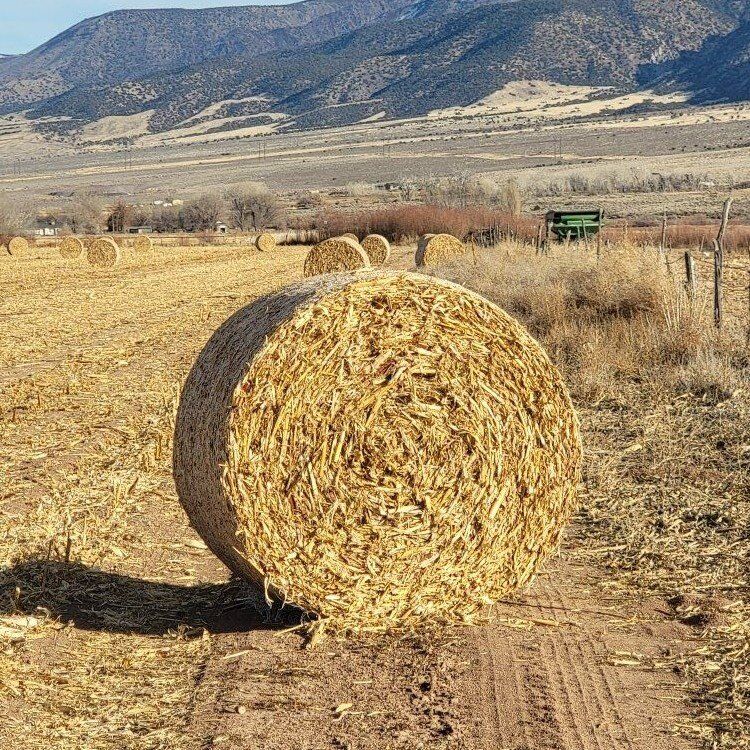 corn bales