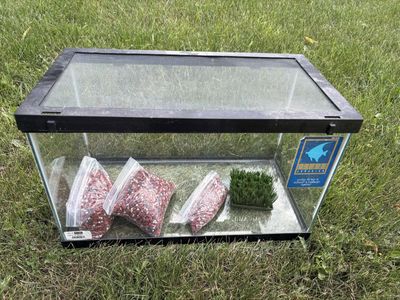2 Aquariums