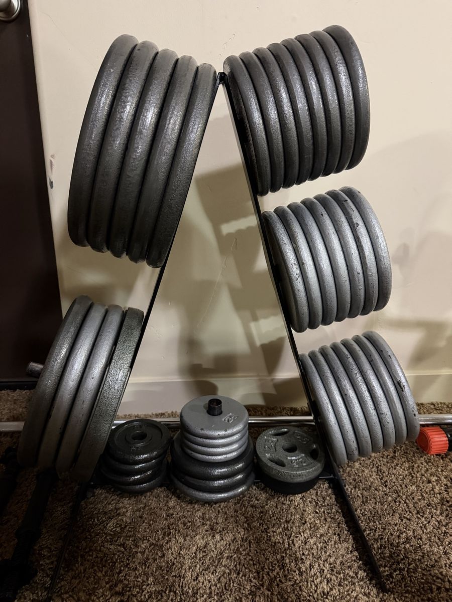 weight plate set
