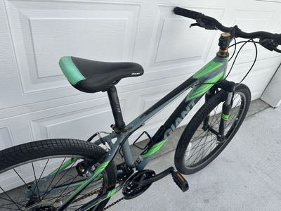 Giant revel 2 bike