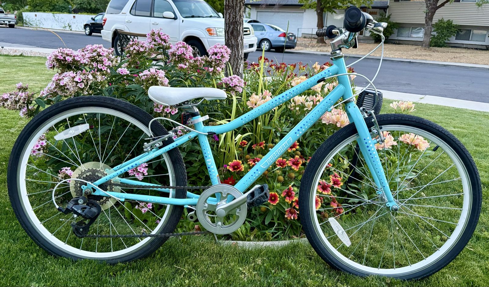 24” Guardian 7 speed bike like new condition