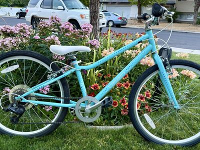 24” Guardian 7 speed bike like new condition