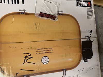 Weber Electric Grill