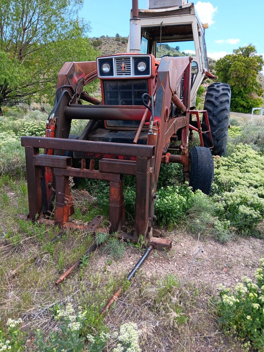 Main image 6