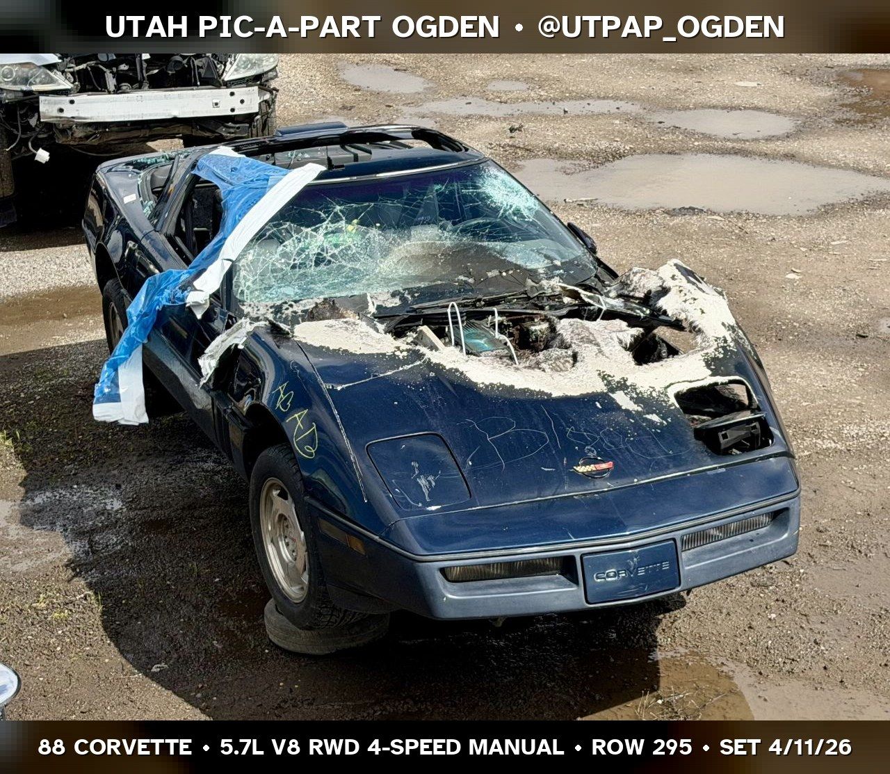 Main image 6