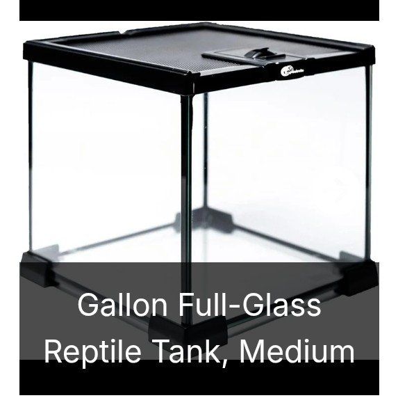 Small Reptile Tank (NEW)
