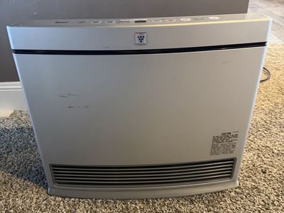 Rinnai RCE-590A Natural Gas heater